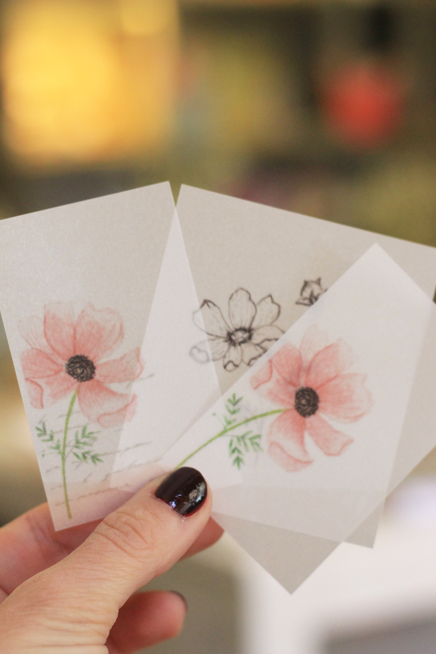 Set de tarjetas de papel vegetal - Amapolas
