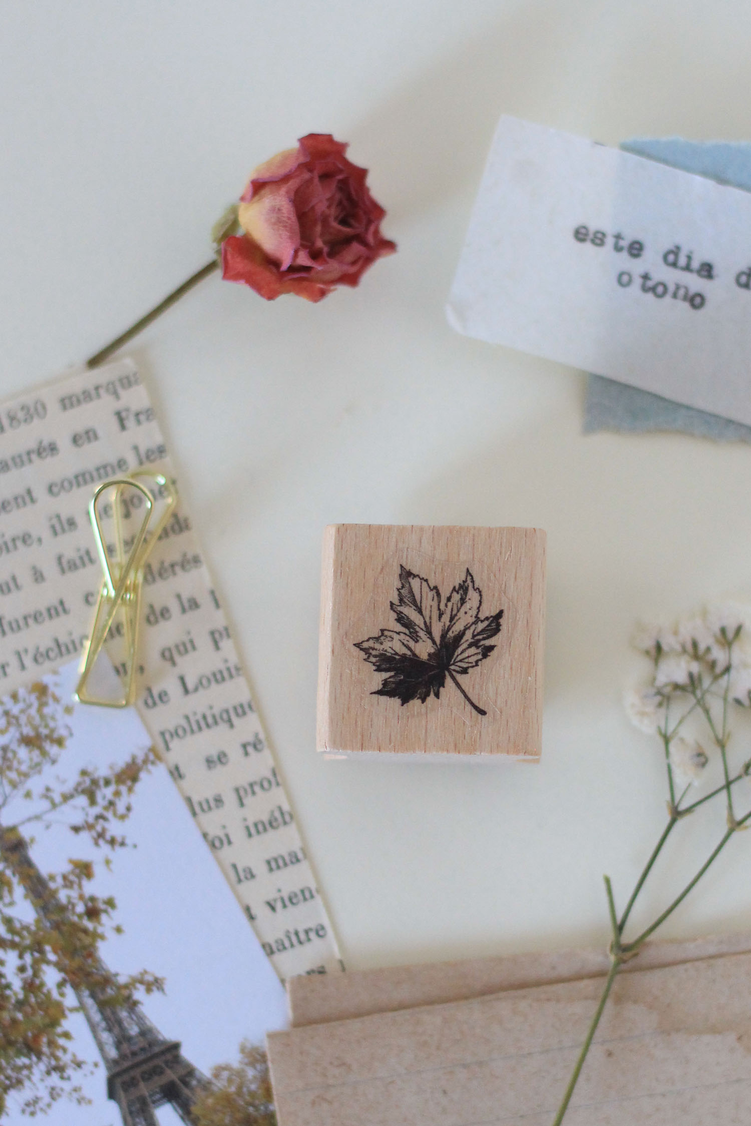 sello-hojita-arce-02