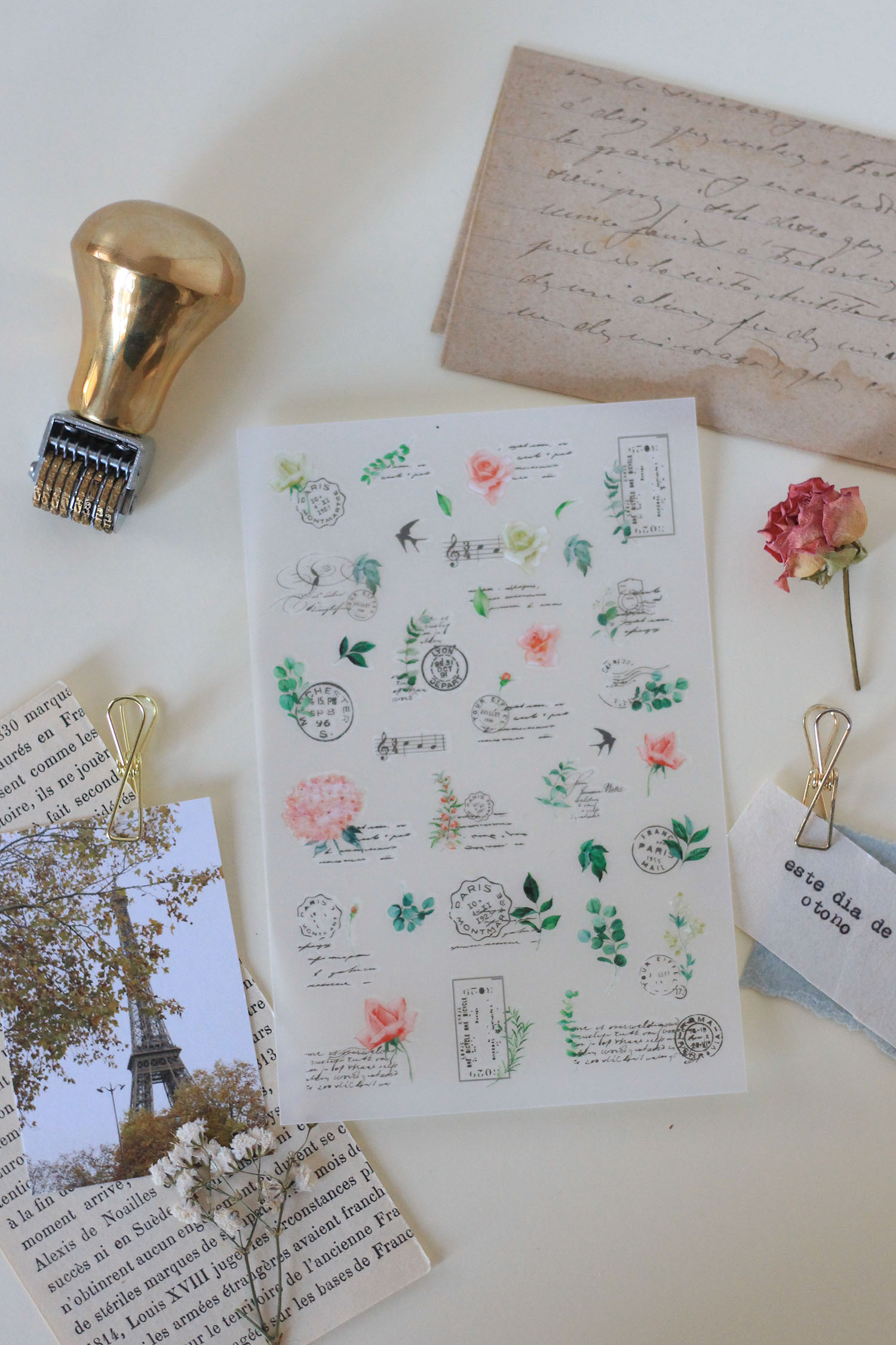 transferibles-10-000