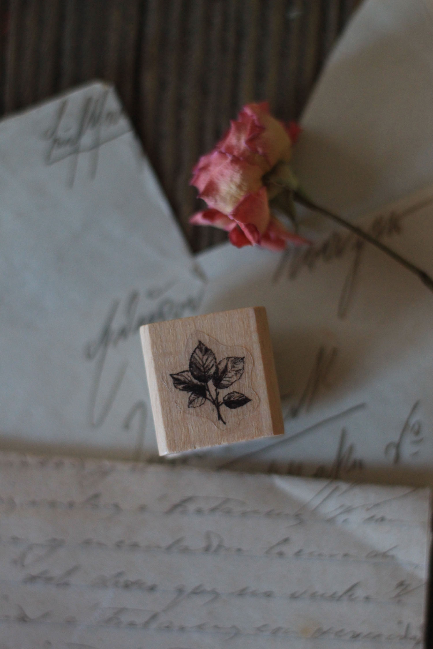 sello-mini-ramita-01